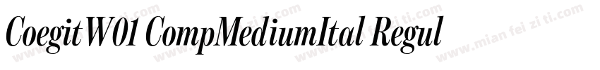 CoegitW01 CompMediumItal Regular字体转换